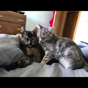 Meet your Posher, Jen